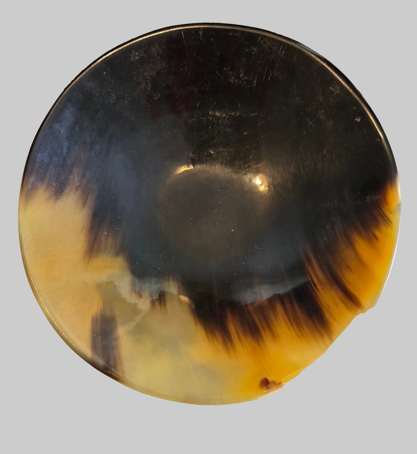 Horn Tray