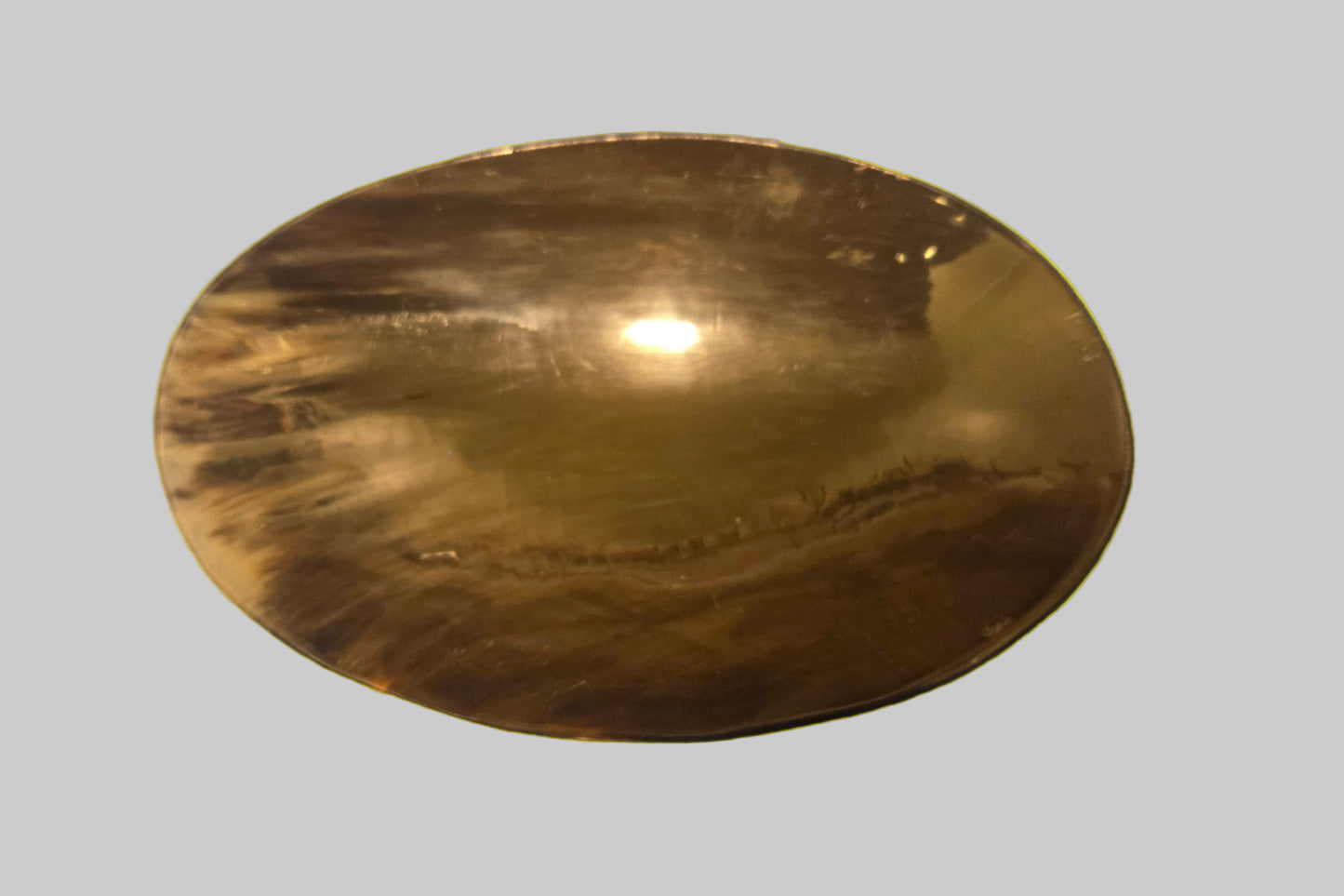 Horn Tray